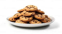biscuit